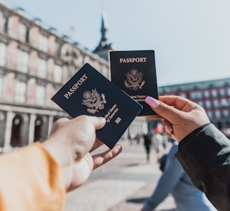 person holding passports